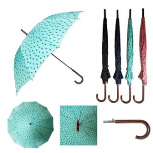 발렌타인 장우산 60x12k 자동 선인장