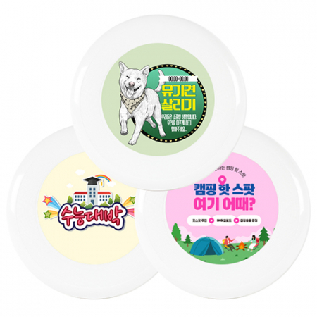 원반 (플라잉 디스크) #2