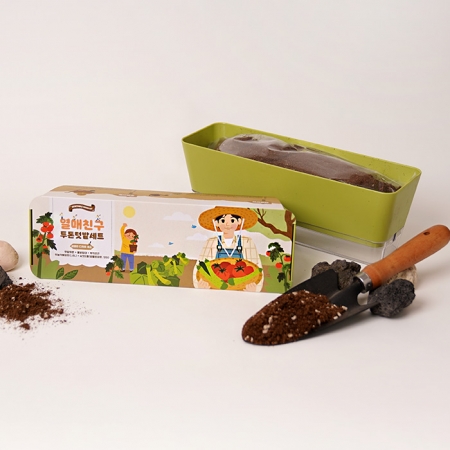 열매친구 투톤텃밭 세트 - 오이+방울토마토 #2