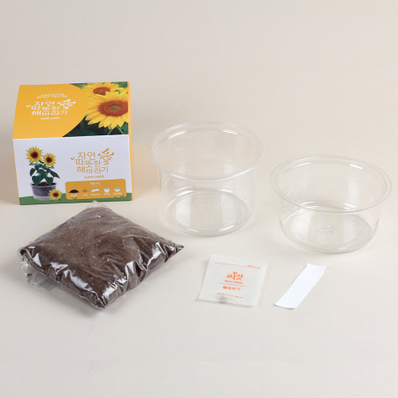 자연애 마이가든 저면 관수 화분키트- 바질 #4