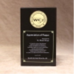 [상패] 증권패 6CM메달 hs- 09