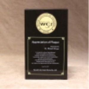 [상패] 증권패 6CM메달 hs- 09