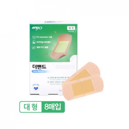 더 밴드 에이 대형 #2