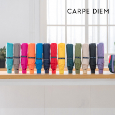 카르페디엠 3HHS003 3단 수동우산