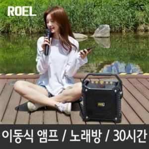 버스킹 DJ 블루투스 스피커 300W / 노래방 / 앰프 / 캠핑 / 무선마이크 / DJ모드 / 에코지원