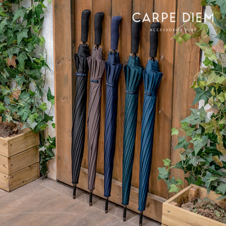 카르페디엠 3HHS005 장우산 70*12K #2