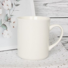 퓨어 매직dr화이트 모던 머그