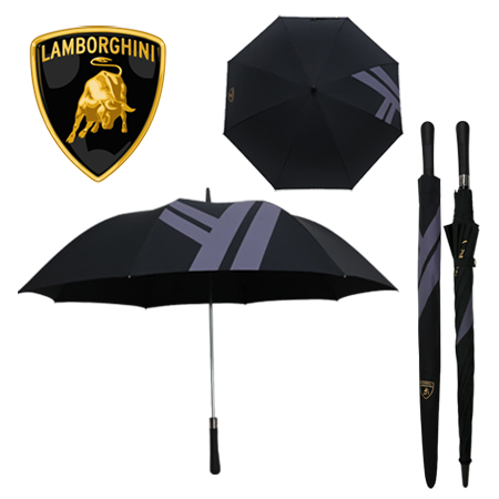 람보르기니 70 자동 입실론 장우산 #2