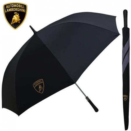 람보르기니 70 자동 입실론 장우산 #3