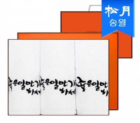 [송월타올]좋은 일만 가득하세요 타올 3매 세트 + 쇼핑백 s #2