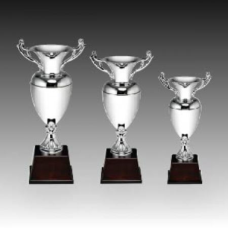 우승 대회 시상 트로피 디어실버 C 주문제작 #2