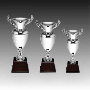 우승 대회 시상 트로피 디어실버 C 주문제작