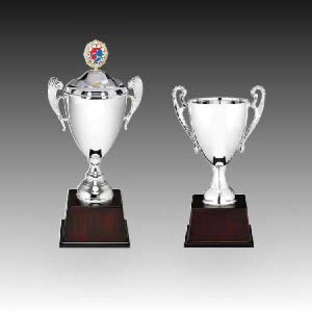 우승 대회 시상 트로피 쿨실버 D 주문제작 #2