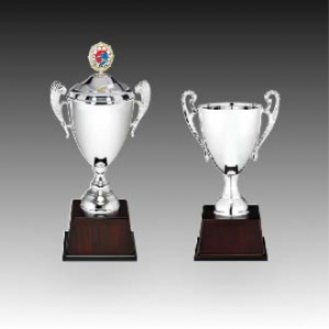 우승 대회 시상 트로피 쿨실버 D 주문제작