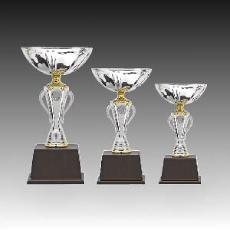 우승 대회 시상 트로피 벨로체 C 주문제작 #2