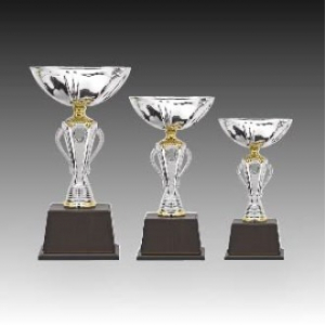 우승 대회 시상 트로피 벨로체 C 주문제작