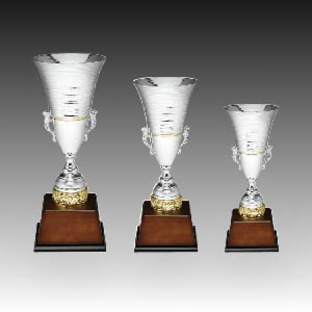 우승 대회 시상 트로피 마이티 C 주문제작 #2