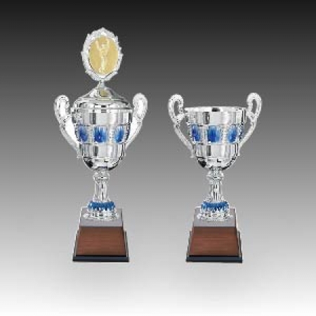 우승 대회 시상 트로피 미스티블루 E 주문제작 #2