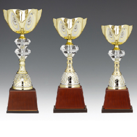 우승 대회 시상 트로피 엠버 C 주문제작 #2