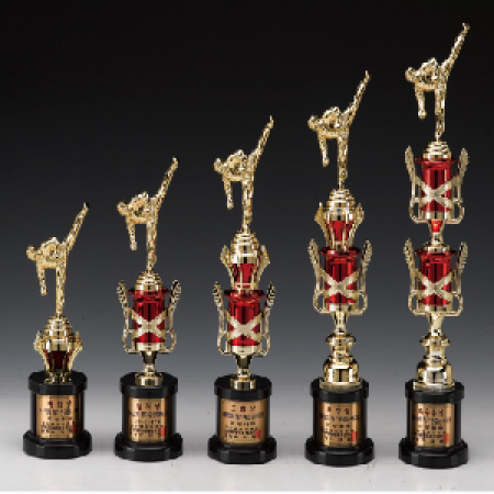 우승 대회 시상 트로피 태권도 레드 E 주문제작 #2