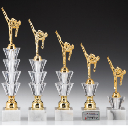 우승 대회 시상 트로피 태권도 별돌5종 E 주문 제작 #2