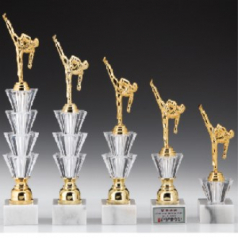 우승 대회 시상 트로피 태권도 별돌5종 E 주문 제작