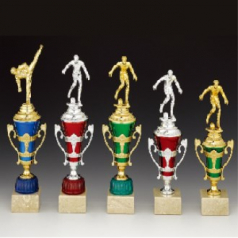 우승 대회 시상 트로피 태권도 축구 인형 C 주문제작