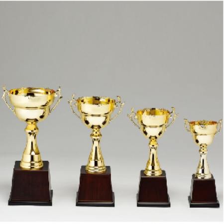 우승 대회 시상 트로피 무궁화컵 D 주문 제작 #2