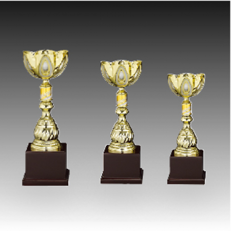 우승 대회 시상 트로피 샤이니 D 주문 제작 #2