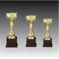 우승 대회 시상 트로피 샤이니 D 주문 제작