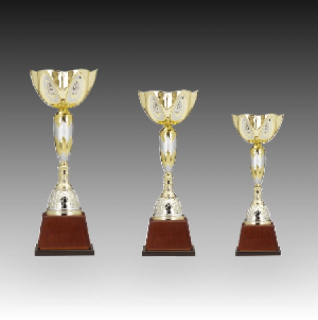 우승 대회 시상 트로피 클로버 D 주문 제작 #2