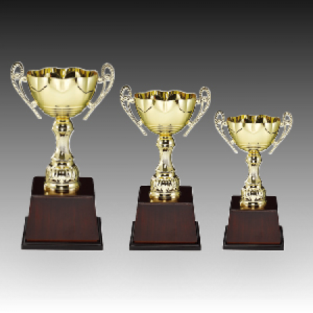 우승 대회 시상 트로피 오로라 D 주문 제작 #2