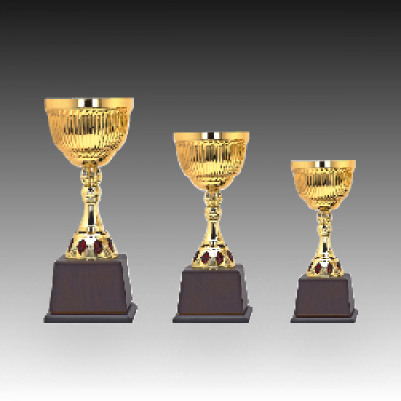 우승 대회 시상 트로피 윙클 C 주문 제작 #2