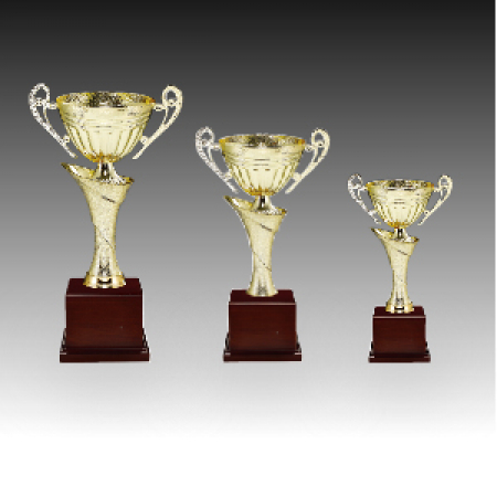 우승 대회 시상 트로피 프린세스 C 주문 제작 #2