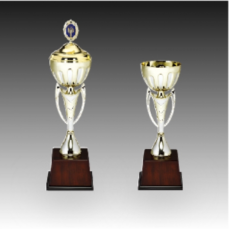 우승 대회 시상 트로피 엔젤 D 주문 제작 #2