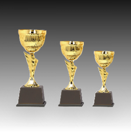 우승 대회 시상 트로피 딤플 D 주문 제작 #2