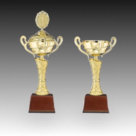 우승 대회 시상 트로피 골드스트링 D 주문 제작 #2