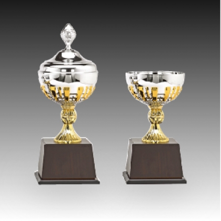 우승 대회 시상 트로피 돌체 C 주문제작 #2