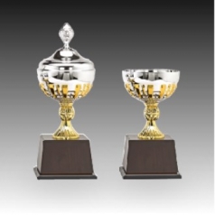 우승 대회 시상 트로피 돌체 C 주문제작