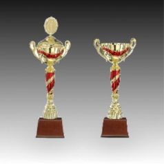 우승 대회 시상 트로피 체리쉬 C 주문제작