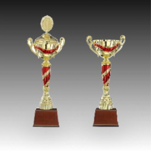 우승 대회 시상 트로피 체리쉬 C 주문제작