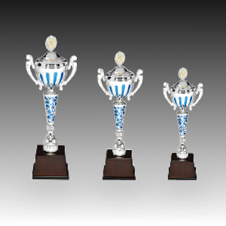 우승 대회 시상 트로피 허니 블루 C 주문제작 #2