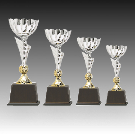 우승 대회 시상 트로피 딜런 D 주문제작 #2