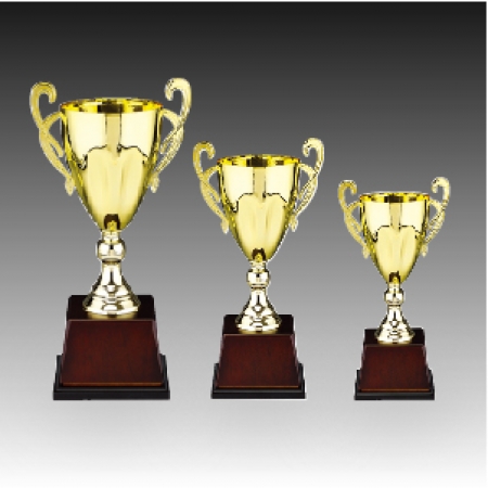 우승 대회 시상 트로피 블론디 E 주문제작 #2