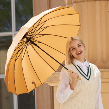 파스텔라 PS3 자동 장우산 #3