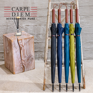 카르페디엠 3HHS009 장우산