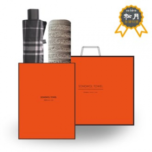 송월 SWU 3단 모던 체크 우산 + 송월 H.C 필라라인 타올 O.G 세트 59