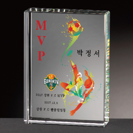 크리스탈감사패 회사공로패 [CR025] WSGD #2