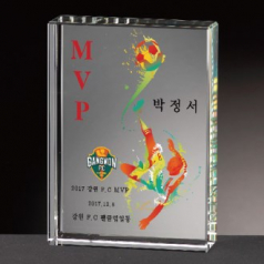 크리스탈감사패 회사공로패 [CR025] WSGD