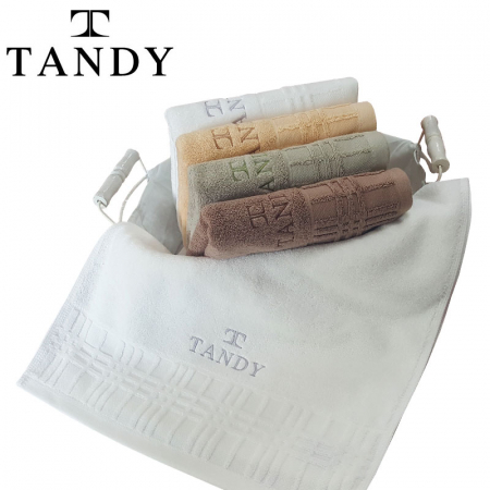 탠디 T- 21 윈도우 세면타올 40x80cm #2